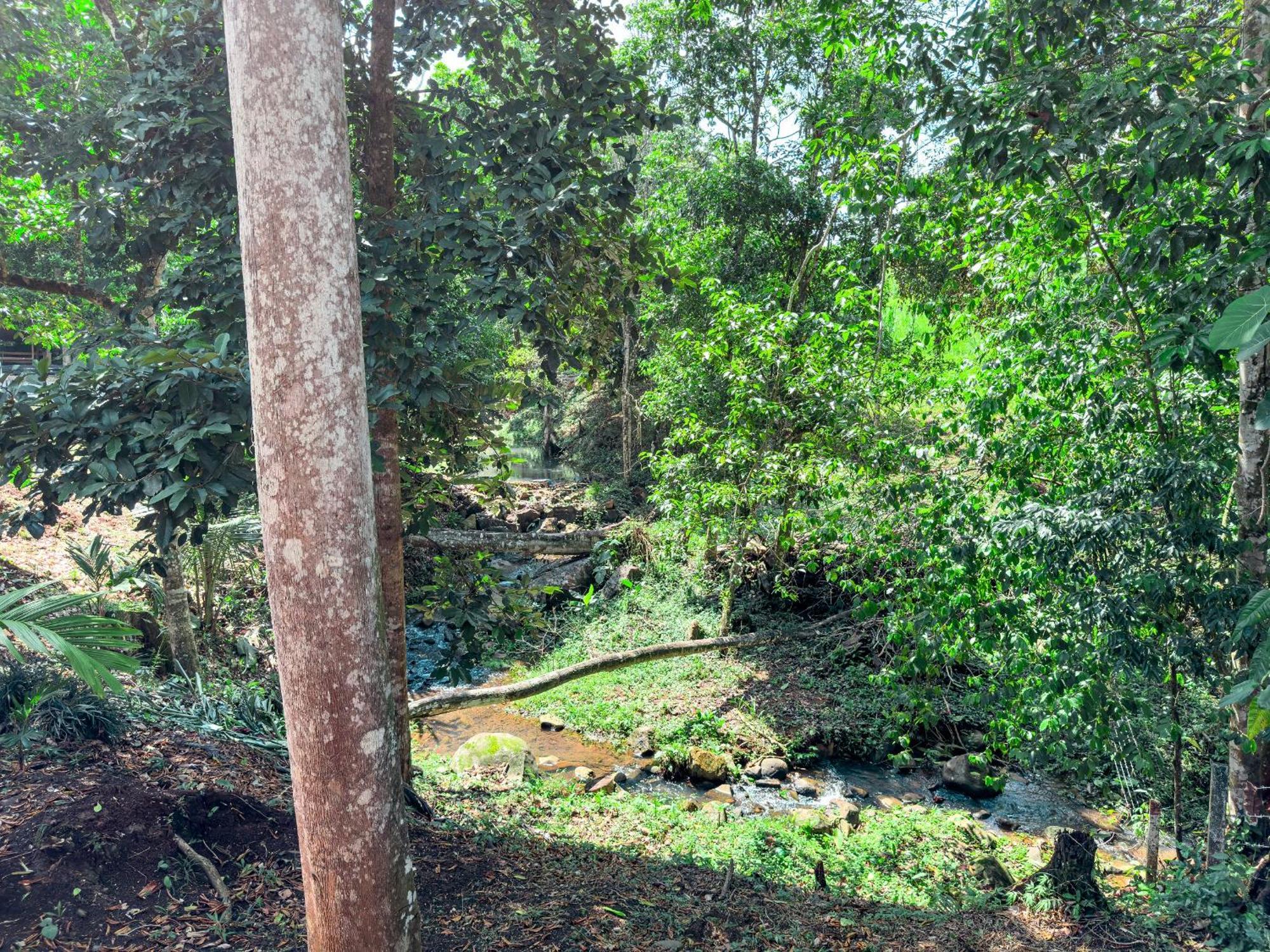 Campsite Vistas De Altura Por Hermanos Solano *